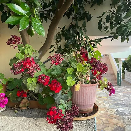 Appartamento Sunset Vista