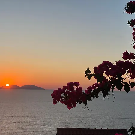 Sunset Vista *